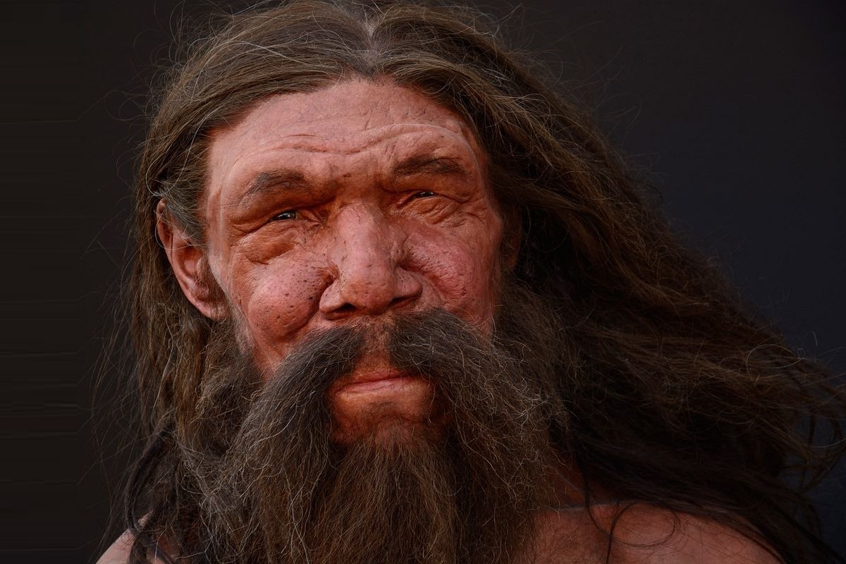 بازسازی چهره واقعی یک انسان نئاندرتال 170 هزار سال پس از مرگ!