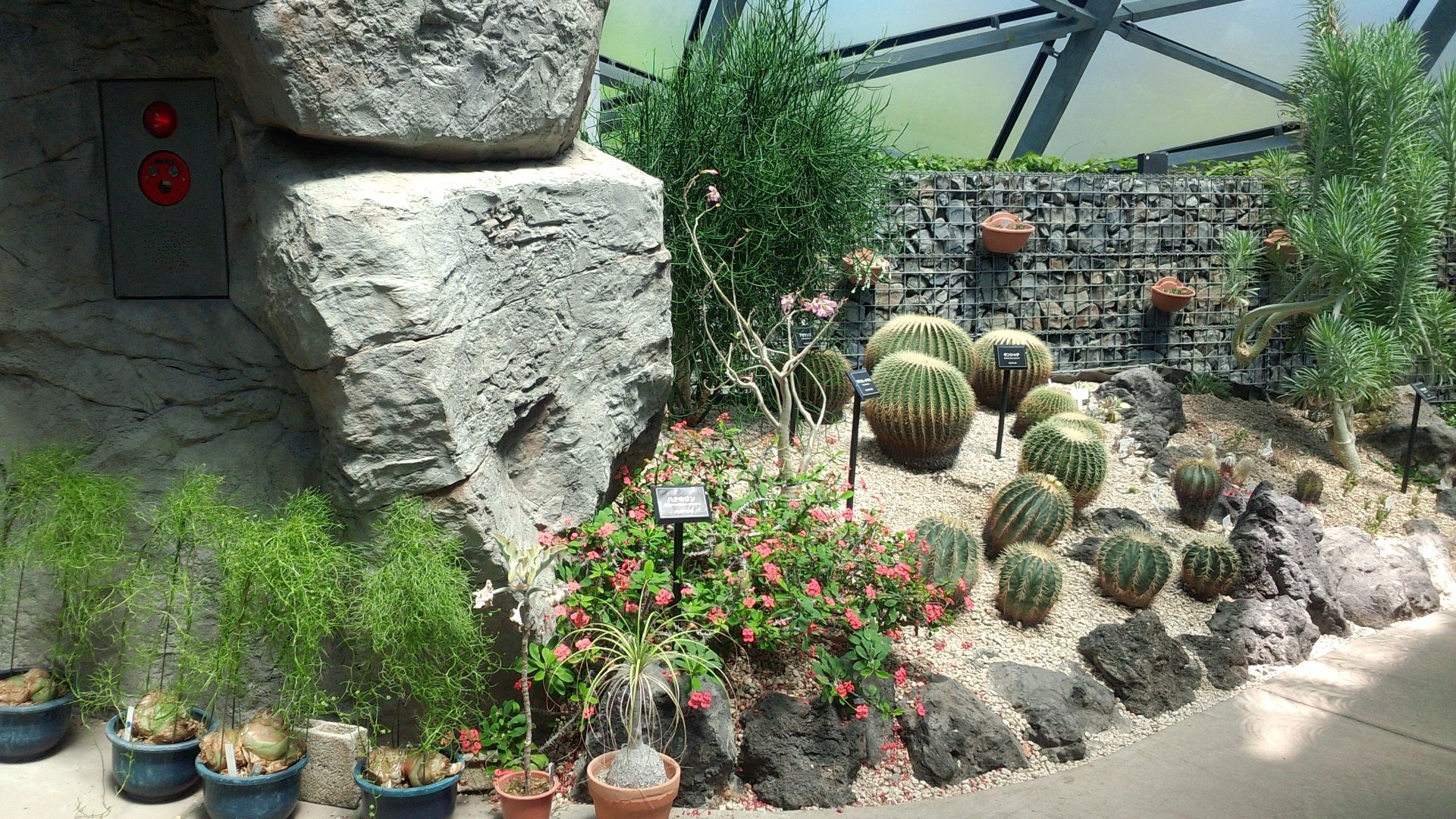 پارک شینجوکو گیوئن توکیو