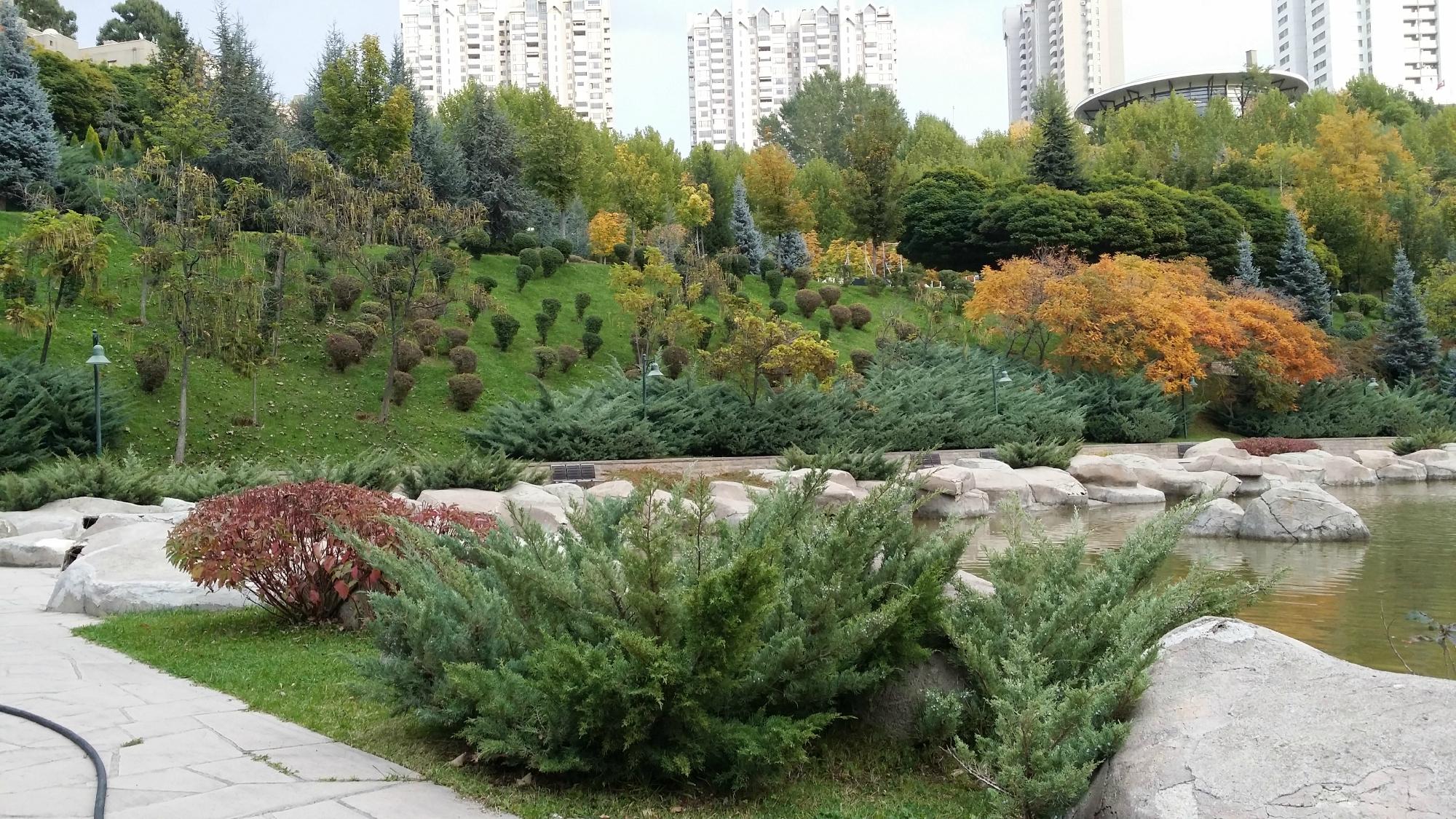 پارک دیکمن وادیسی