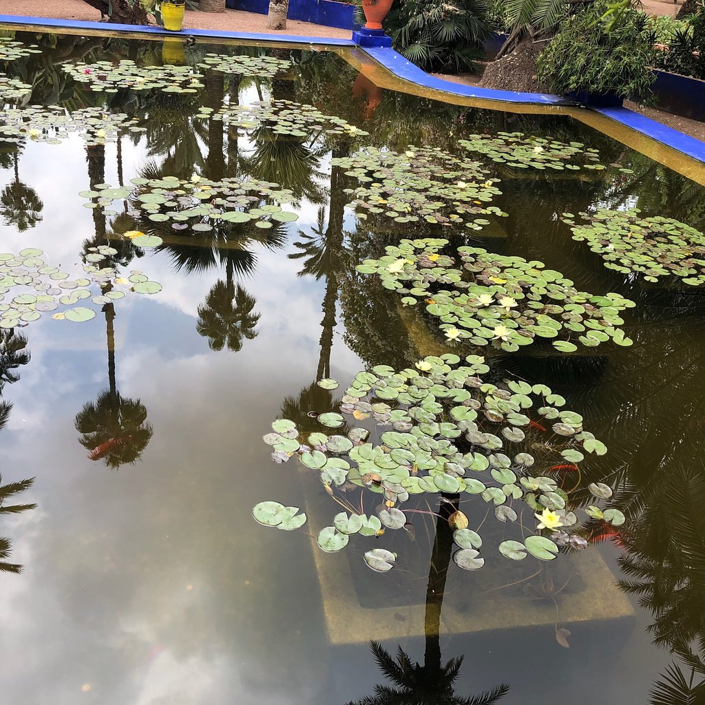 باغ ماژورل مراکش