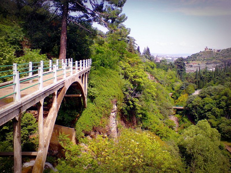 باغ ملی گیاهشناسی تفلیس