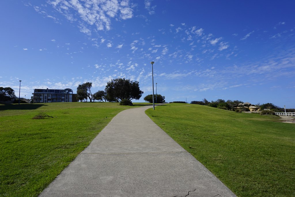 ساحل بوندی سیدنی