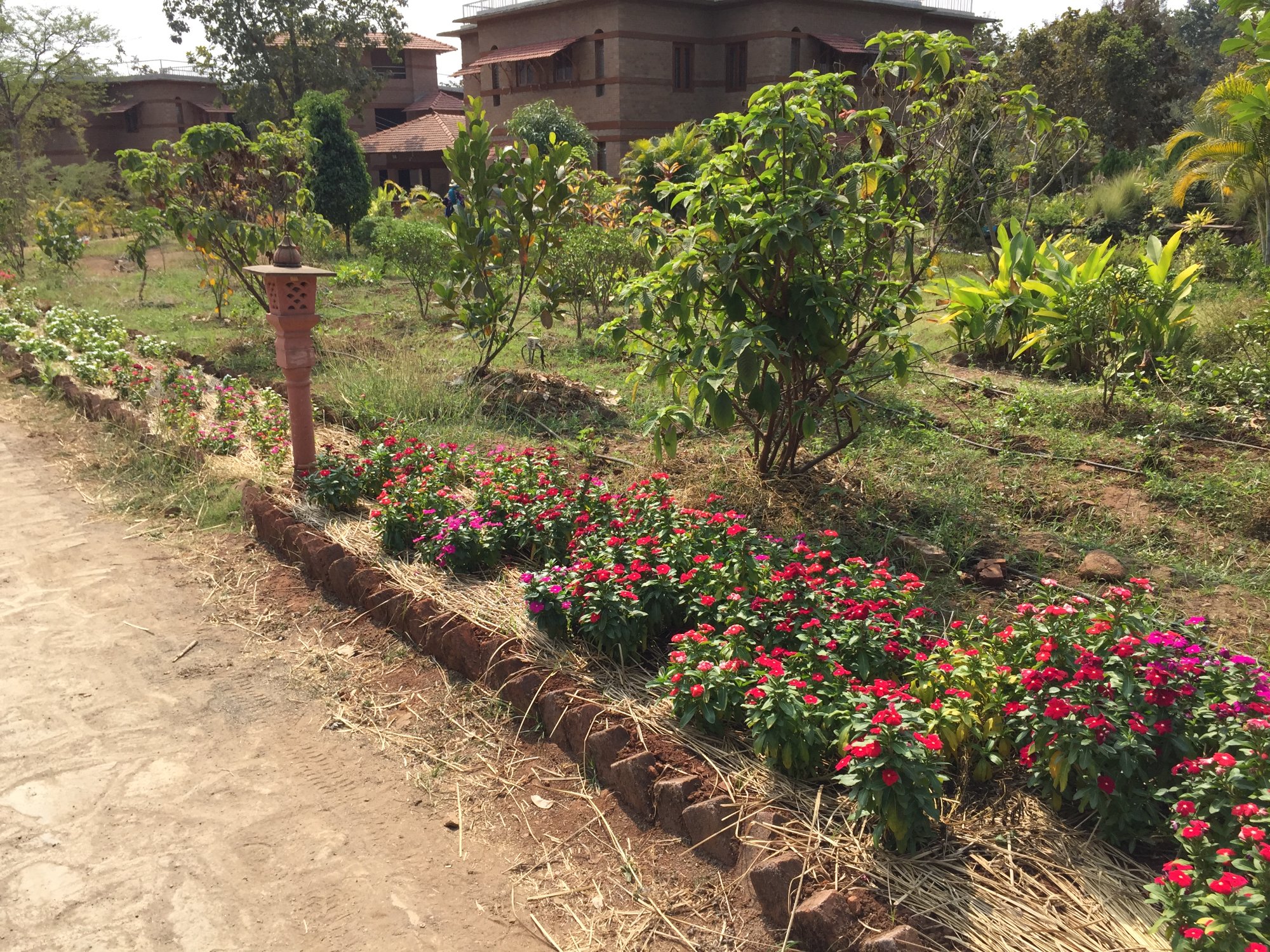 روستای گواردهان