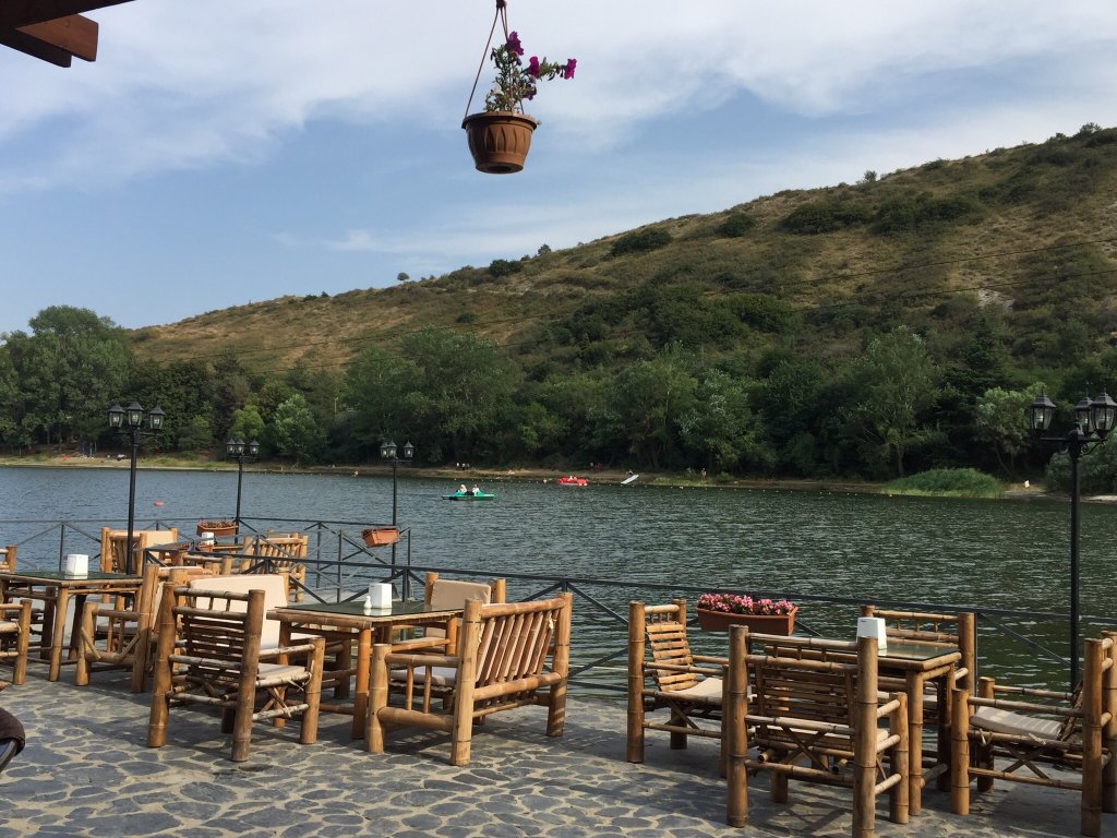 دریاجه لاک پشت تفلیس