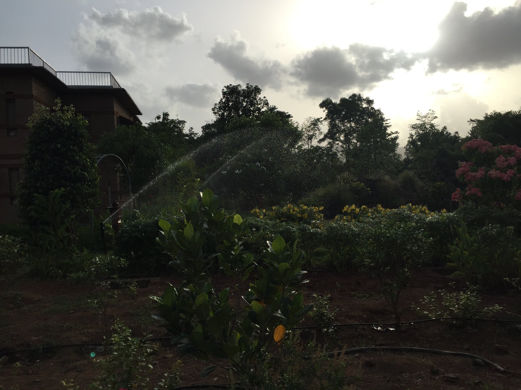 روستای گواردهان