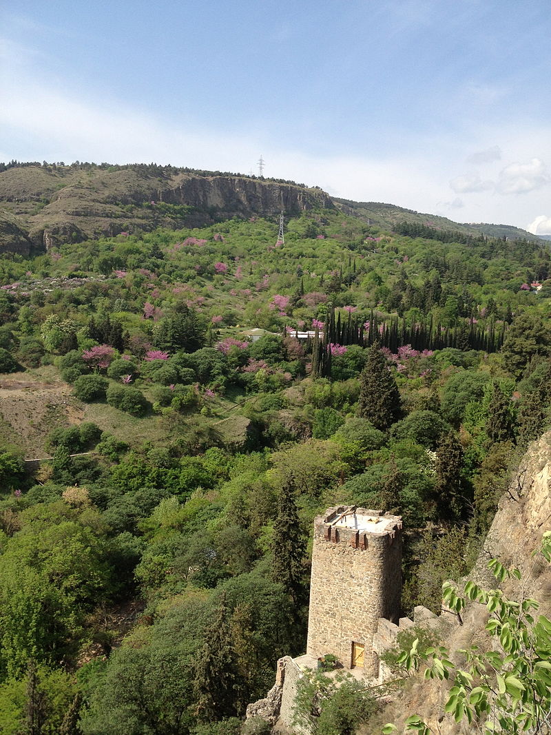 باغ ملی گیاهشناسی تفلیس