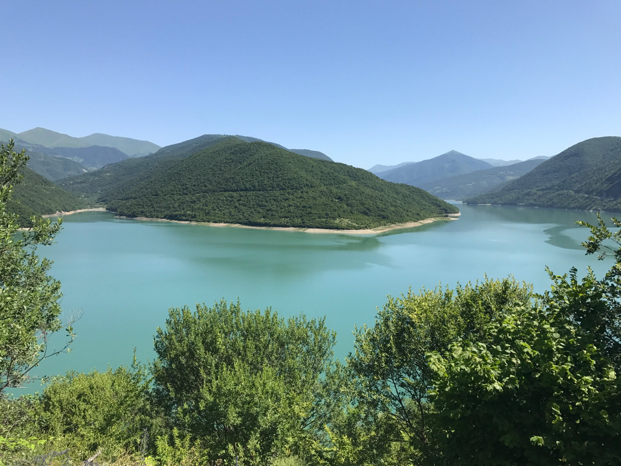 جینوالی تفلیس