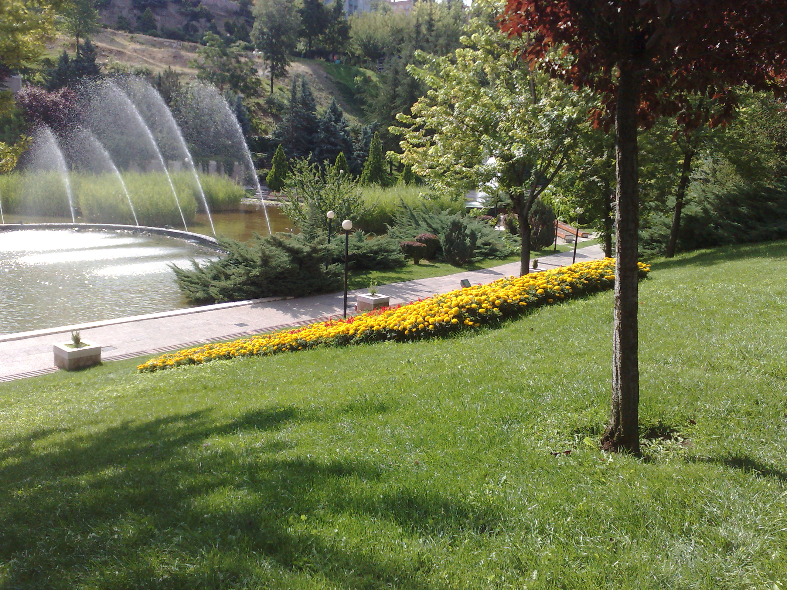 پارک دیکمن وادیسی آنکارا