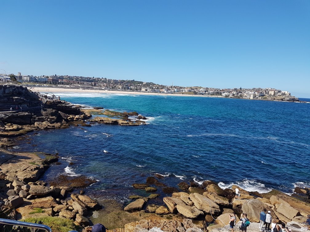 ساحل بوندی سیدنی