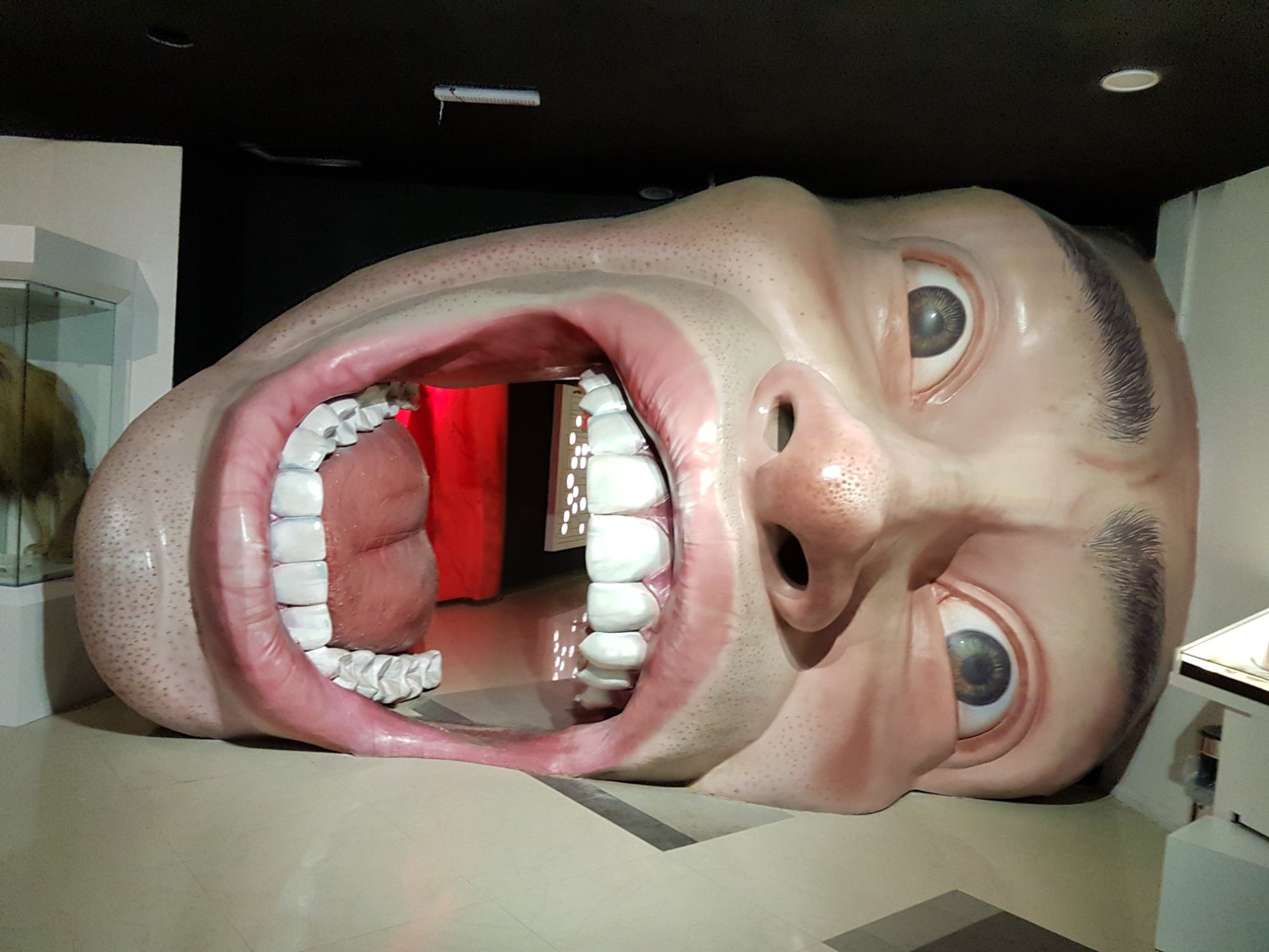 پارک علمی پروفسور بازیما