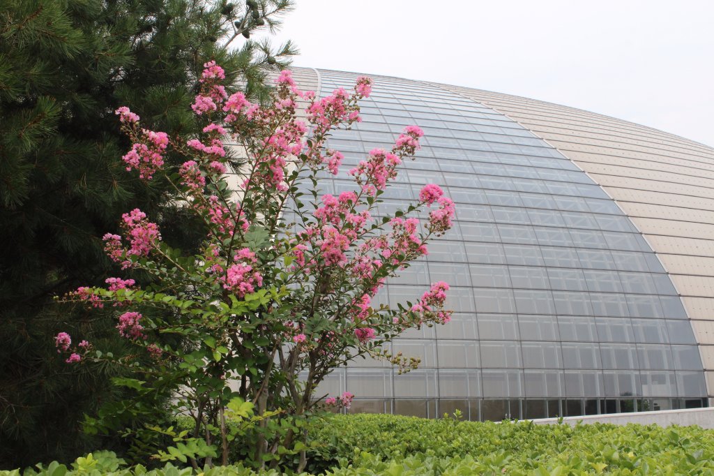 مرکز ملی هنرهای نمایشی پکن