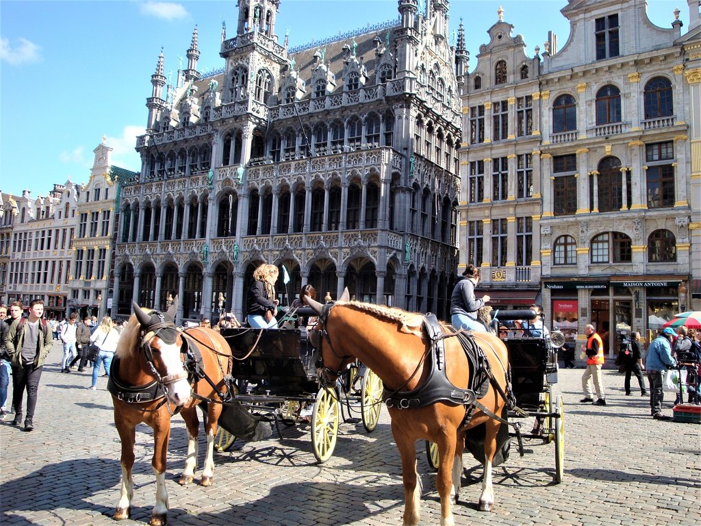 گرند پالاس بروکسل