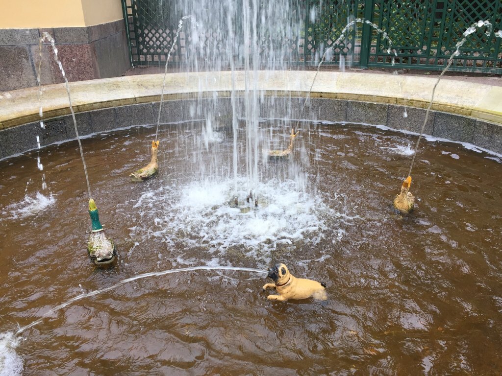 موزه دولتی پترهوف سنت بترزپورگ