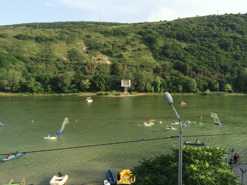 دریاجه لاک پشت تفلیس