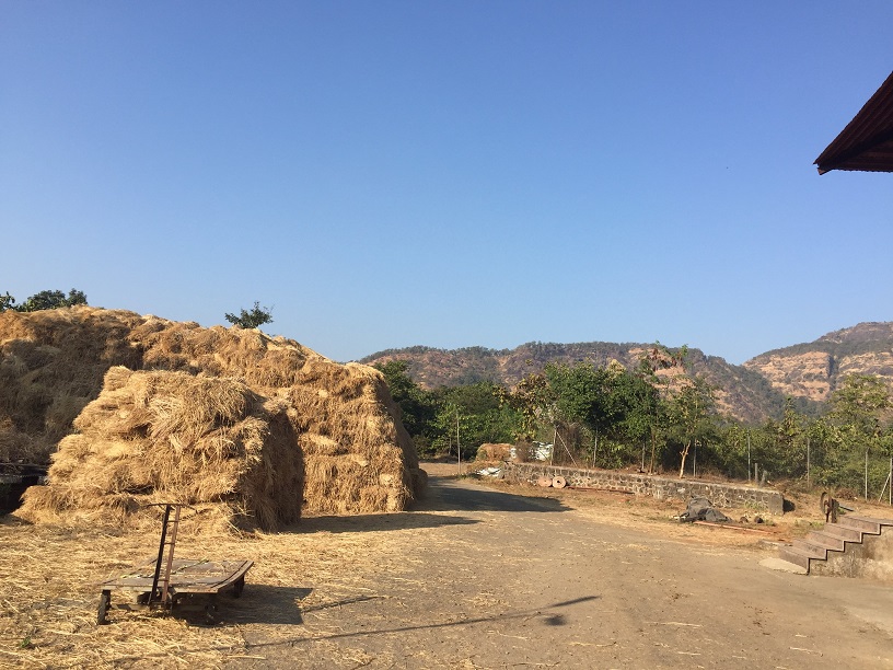 روستای گواردهان