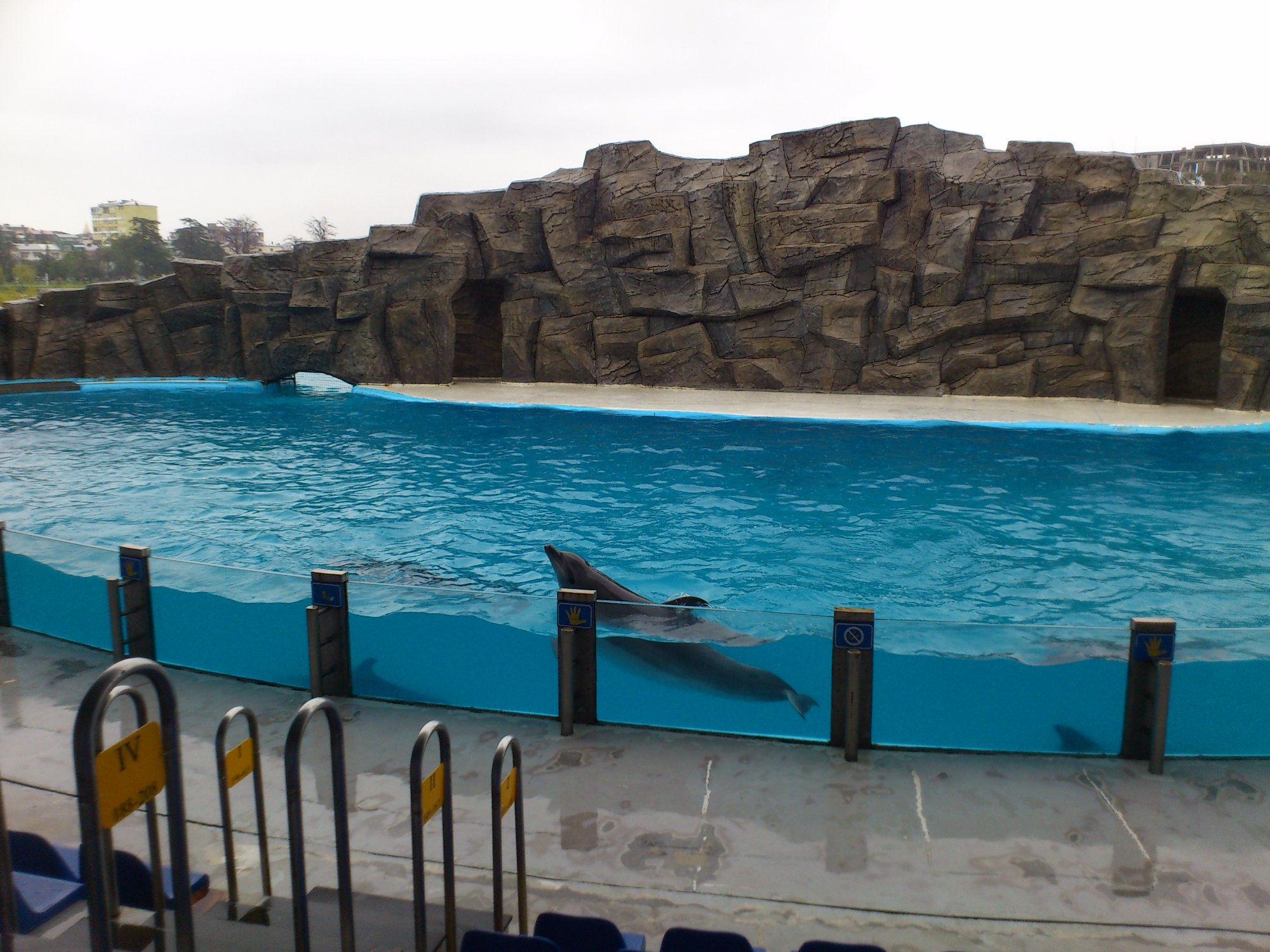 دلفیناریوم