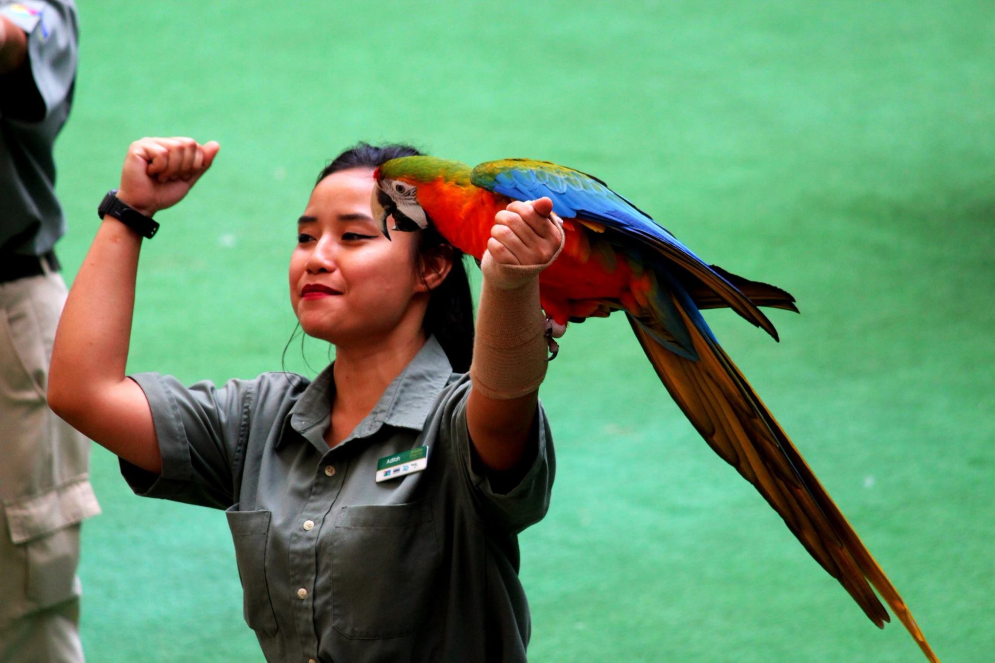 پارک پرندگان جارونگ سنگاپور