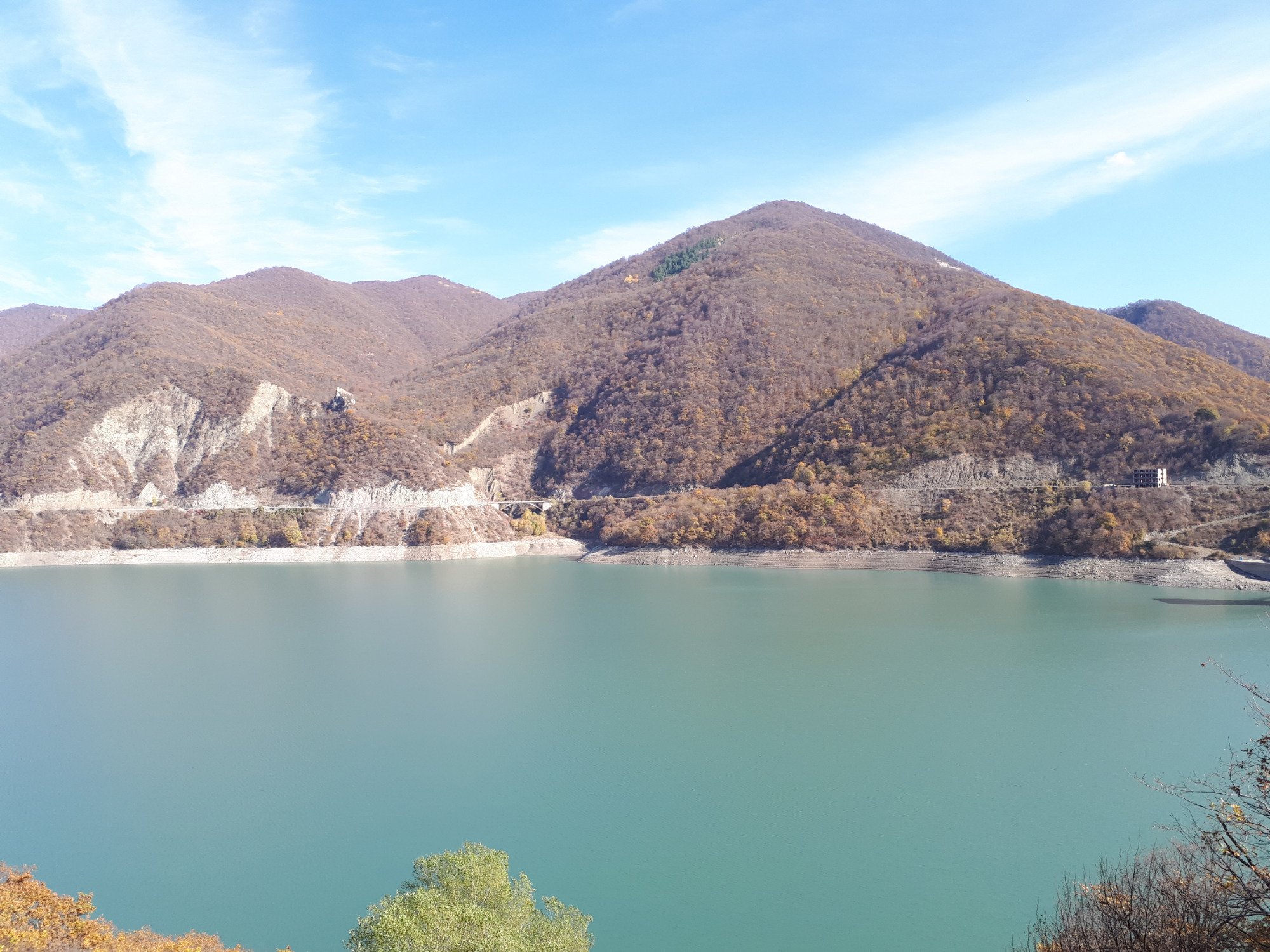 جینوالی تفلیس