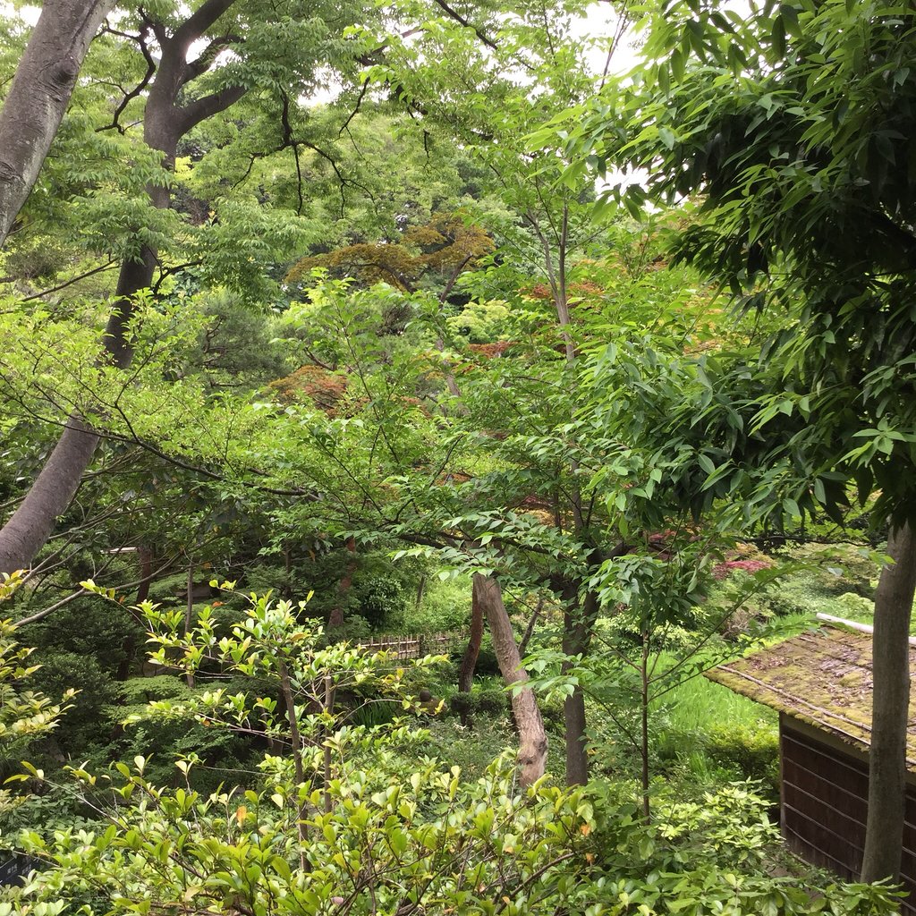 موزه نزو توکیو