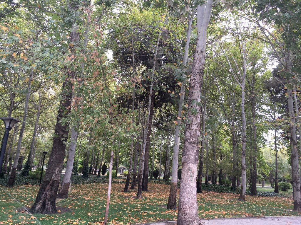 پارک ملت مشهد