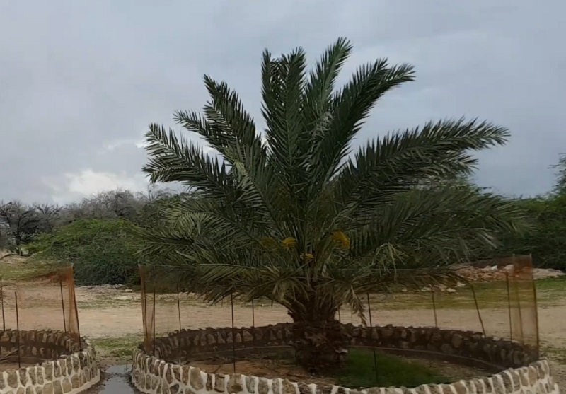 روستای باغو سکونتگاه بومیان کیش