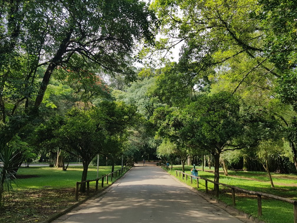 پارک ایبریپورا