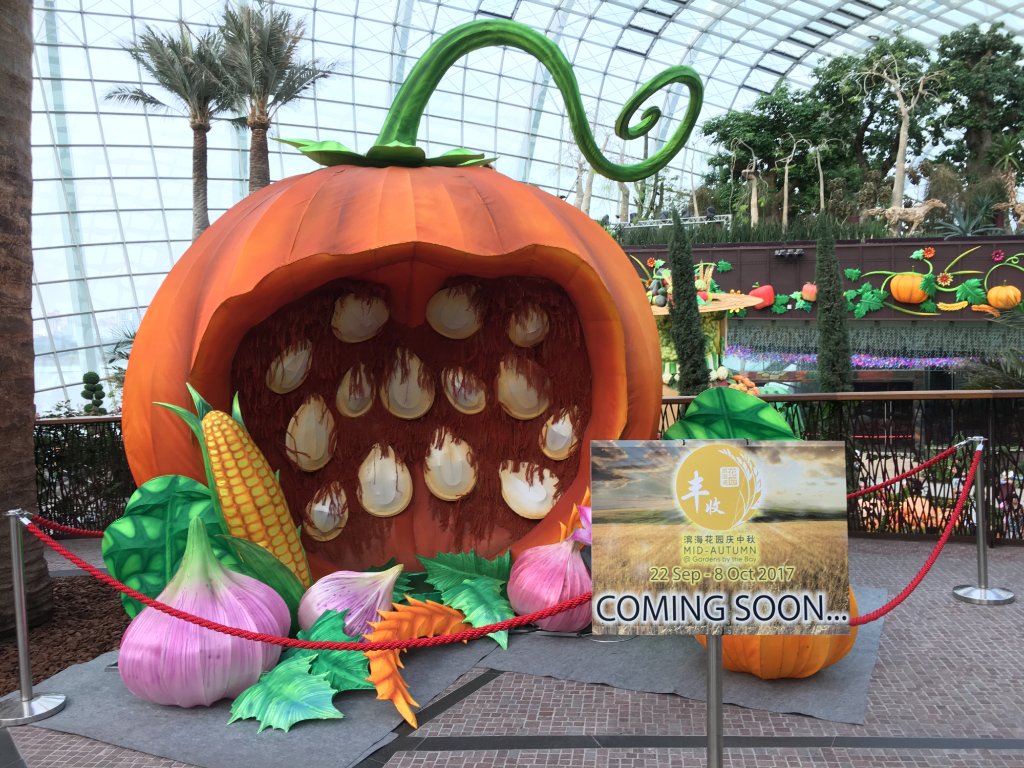 فلاور دوم (گنبد گل) سنگاپور