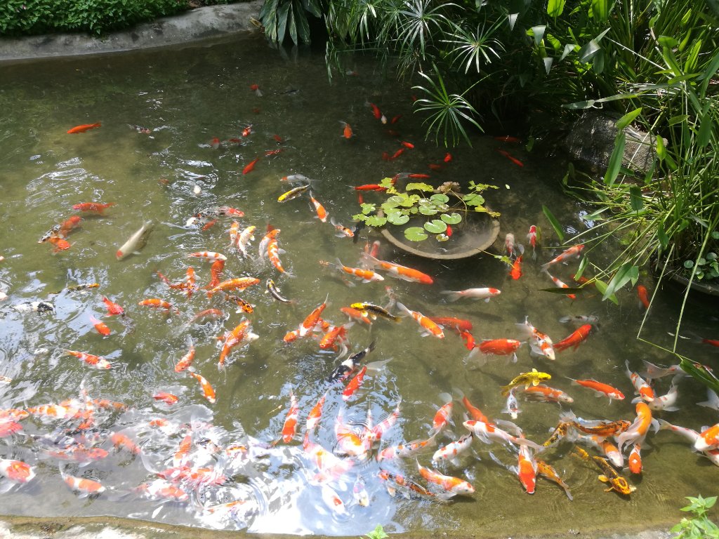 مجتمع تفریحی چیملانگ گوانجو