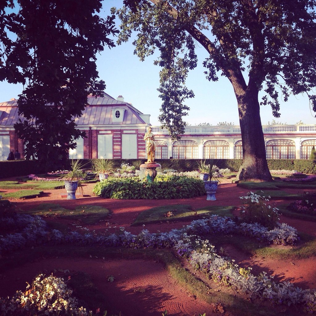 موزه پتروف گرند پالاس سنت پترزبورگ