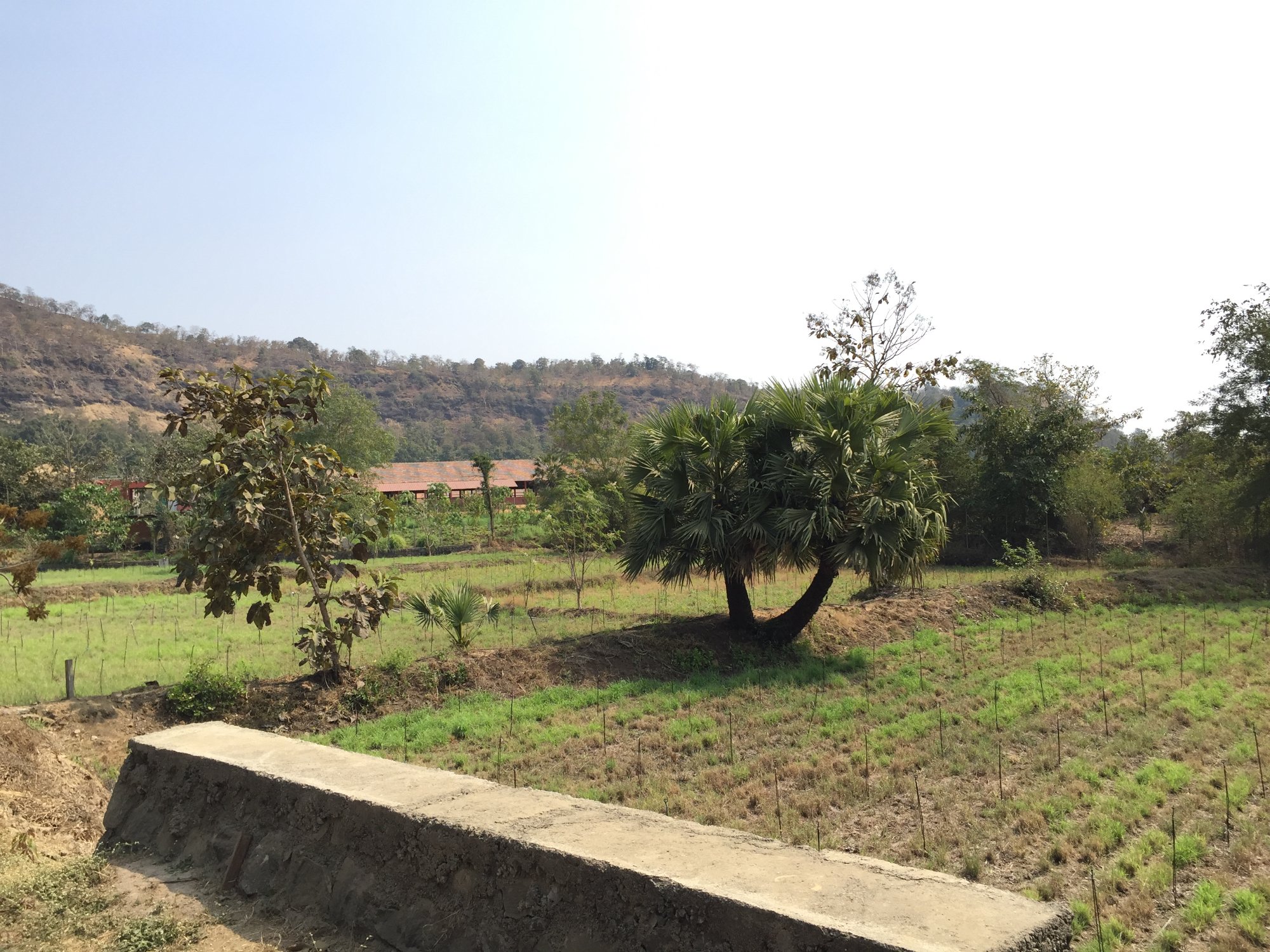 روستای گواردهان