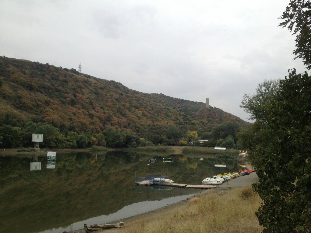 دریاجه لاک پشت تفلیس