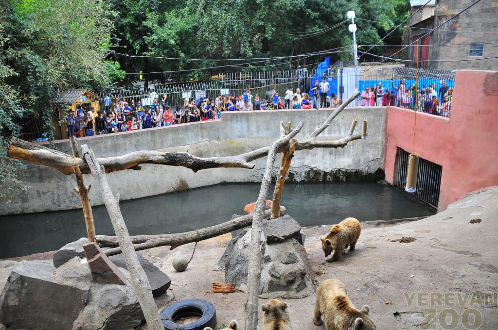 باغ وحش ایروان