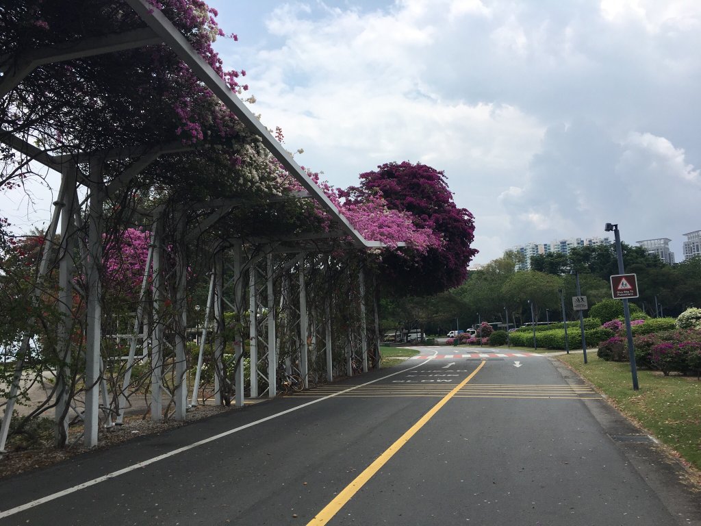 واتر فرانت پرومناد