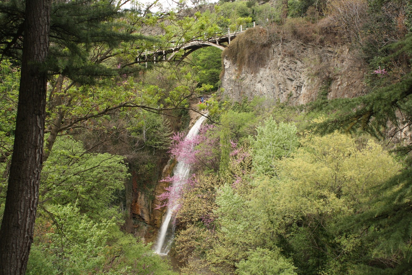 باغ ملی گیاهشناسی
