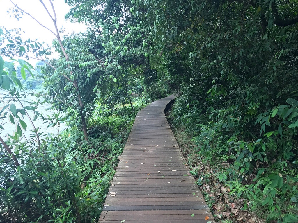 مکریتچی نیچر تریل سنگاپور