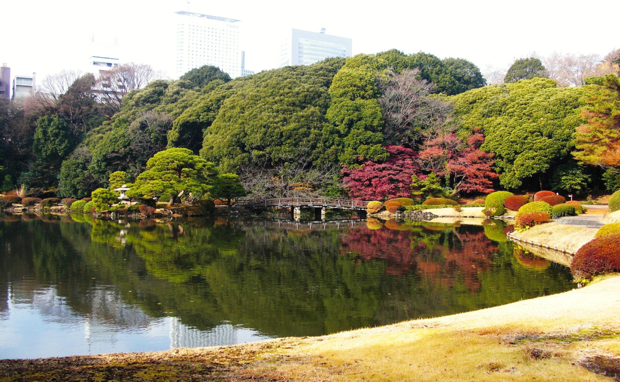 پارک شینجوکو گیوئن توکیو