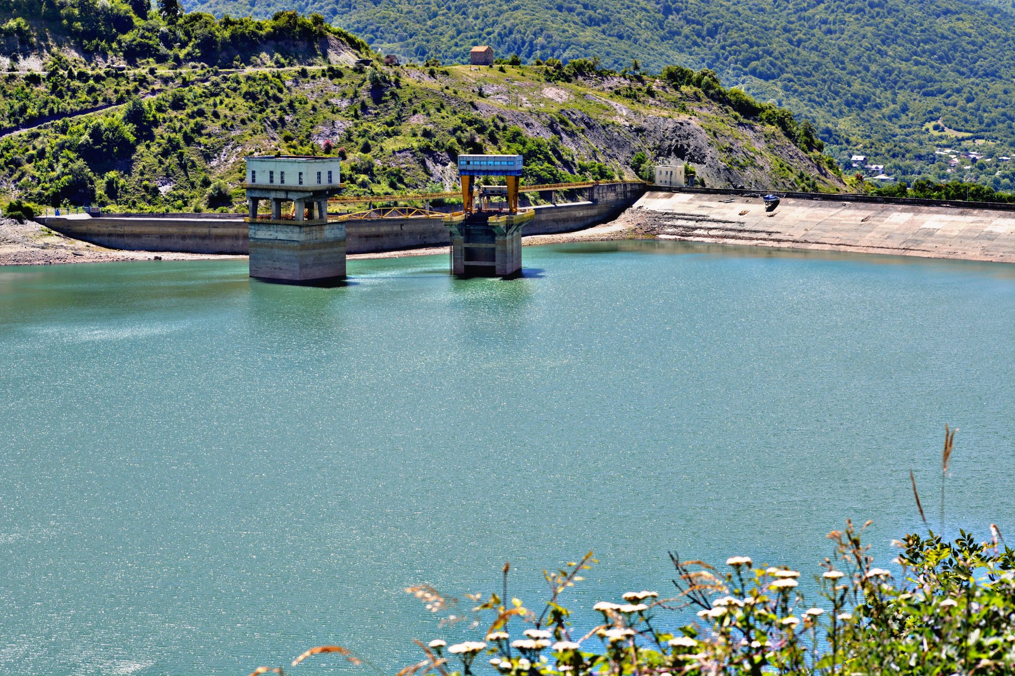 جینوالی تفلیس