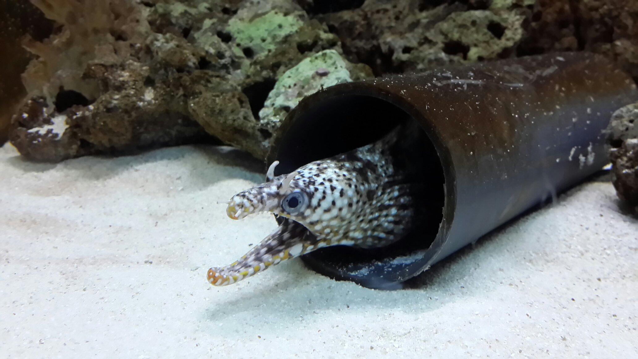 آکواریوم آکوا وگا آنکارا