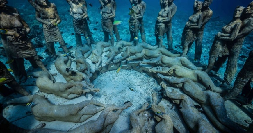 لذت غواصی در جزیره جیلی