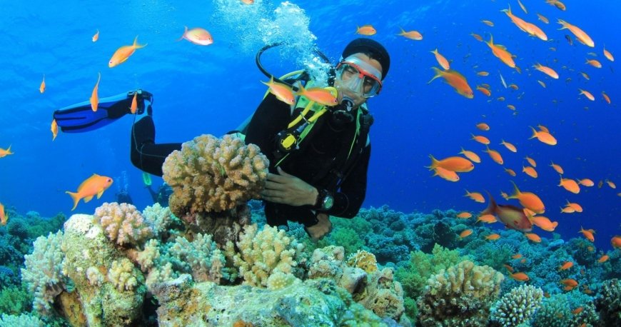 غواصی غواصی