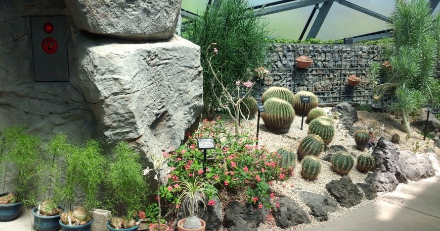 پارک شینجوکو گیوئن توکیو