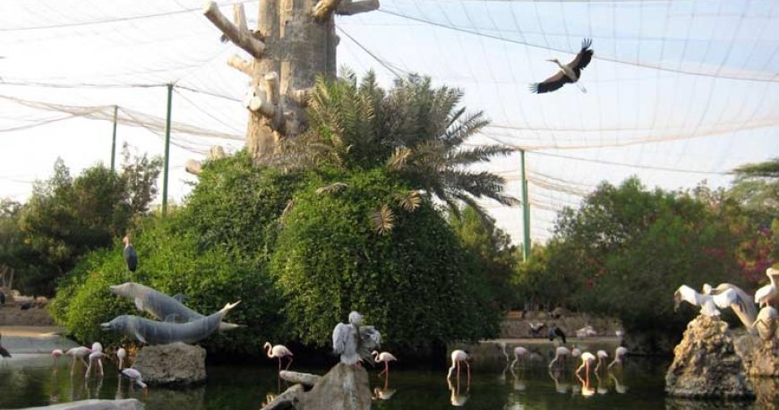 باغ پرندگان کیش