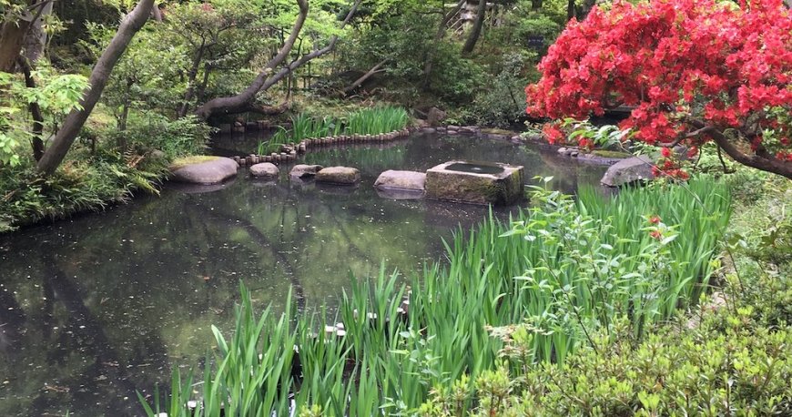 موزه نزو توکیو موزه نزو توکیو