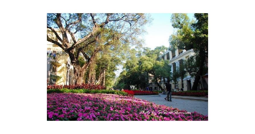 جزیره شامیان گوانجو جزیره شامیان گوانجو