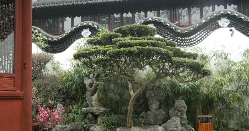 باغ یو شانگهای