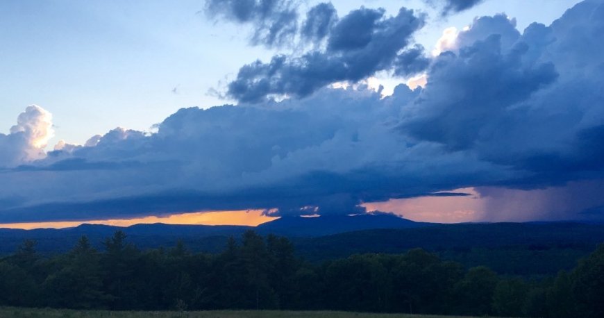 پارک حفاظت شده هیل هکر کاسکو