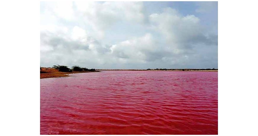 تالاب لیپار تالاب لیپار