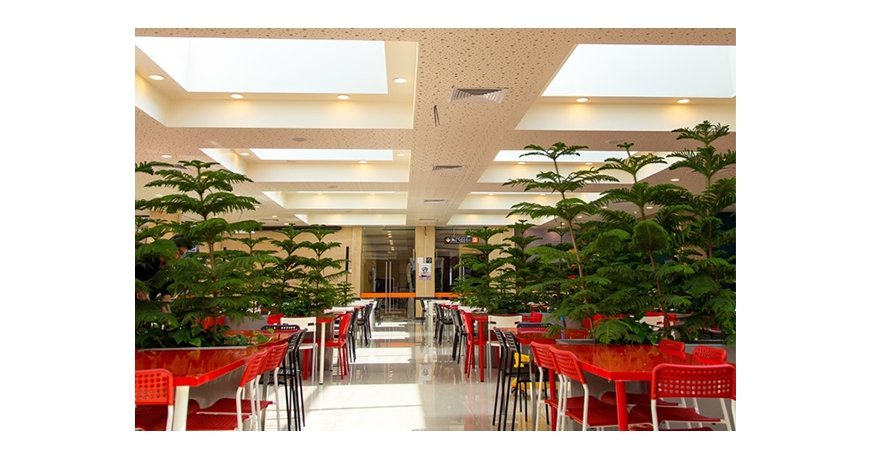 مرکز خرید دامون کیش