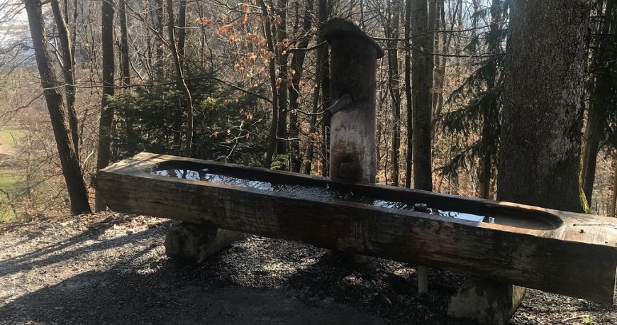 کوه یتلیبرگ زوریخ کوه یتلیبرگ زوریخ