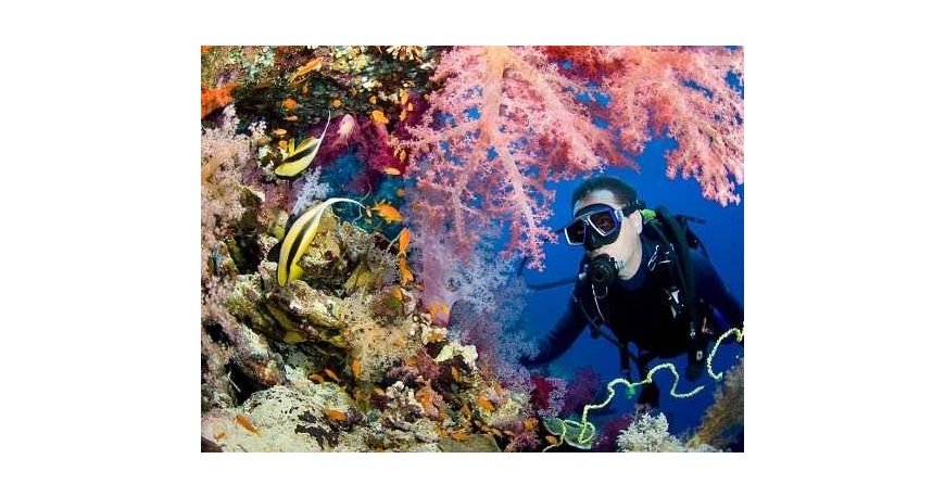 غواصی در جزیره کیش غواصی در جزیره کیش